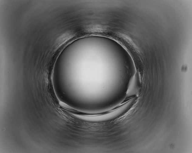 X0000099311209200805021306