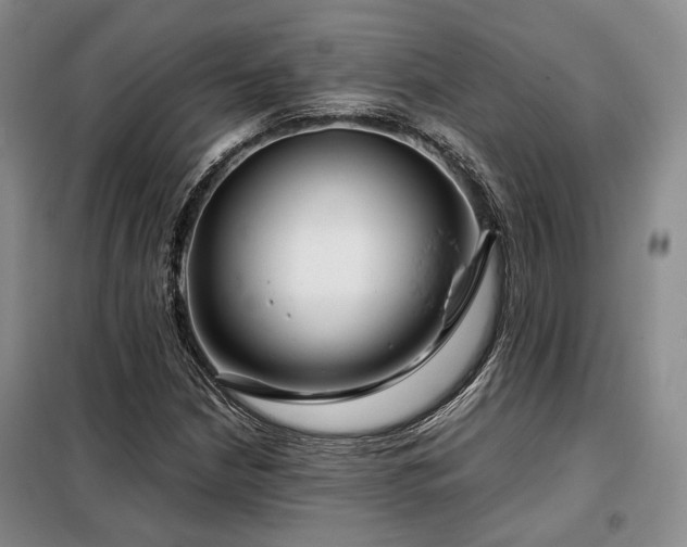 X0000099311210200805021306