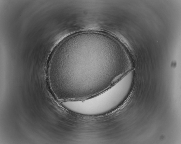 X0000099311212200805021306