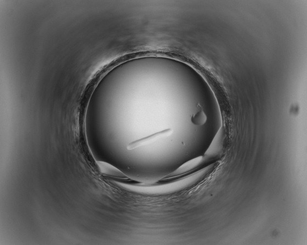 X0000099311214200805021306