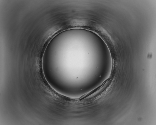 X0000099311217200805021306