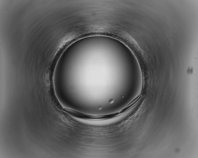 X0000099311218200805021306