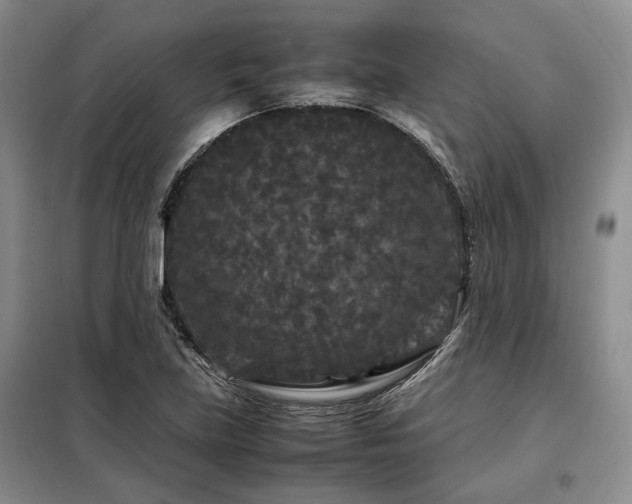 X0000099311219200805021306