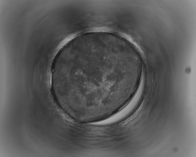 X0000099311221200805021306