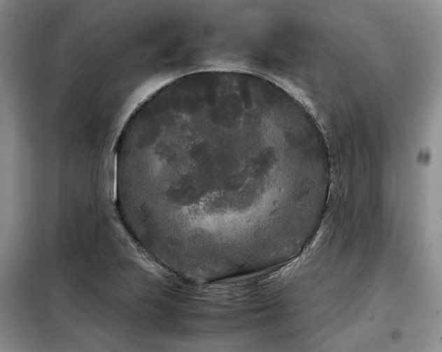 X0000099311223200805021306