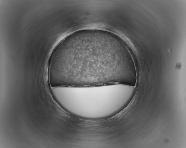 X0000099311224200805021306