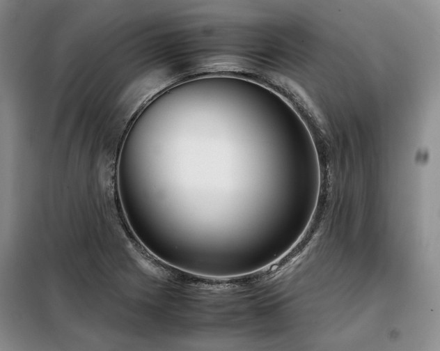 X0000099311225200805021306