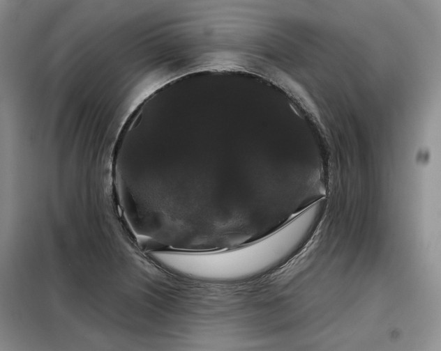 X0000099311226200805021306