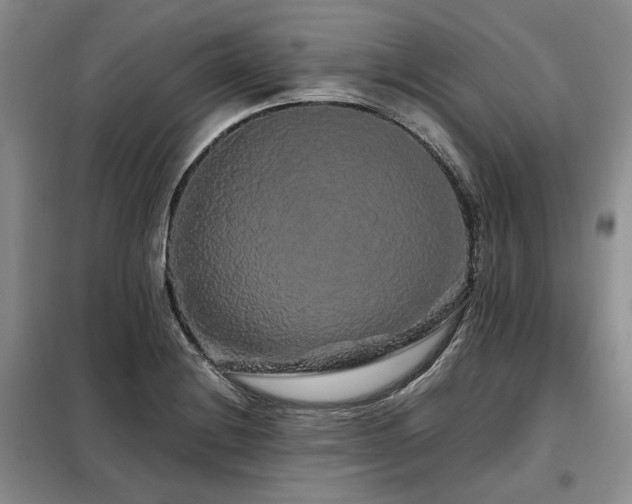 X0000099311228200805021306