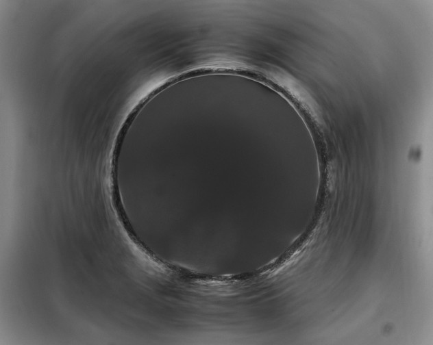 X0000099311229200805021306