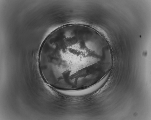 X0000099311231200805021306