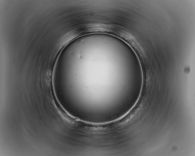 X0000099311233200805021306