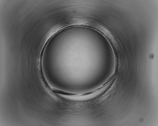 X0000099311234200805021306