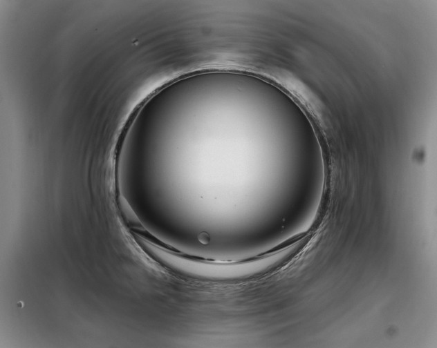 X0000099311238200805021307