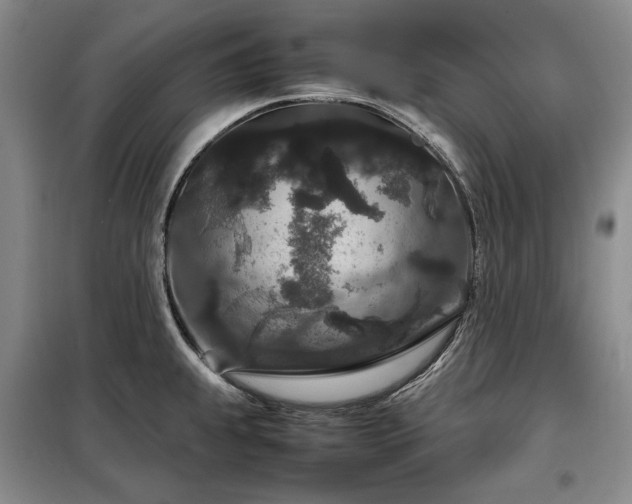 X0000099311239200805021307