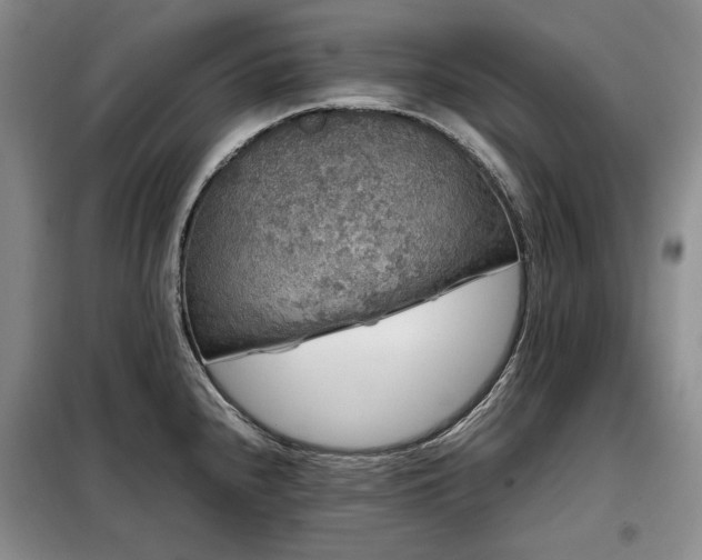 X0000099311240200805021307