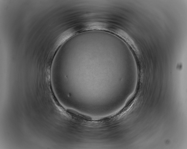 X0000099311241200805021307