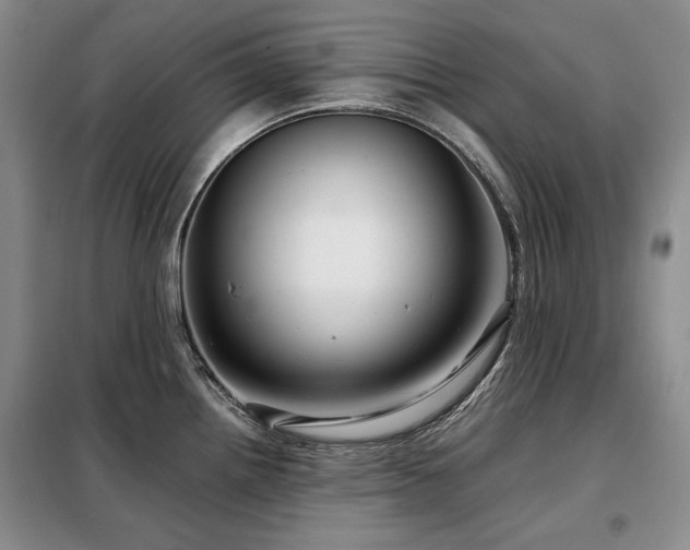 X0000099311242200805021307