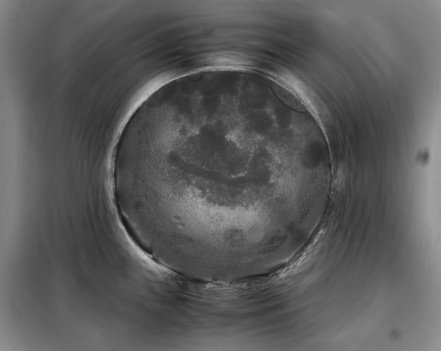 X0000099311243200805021307