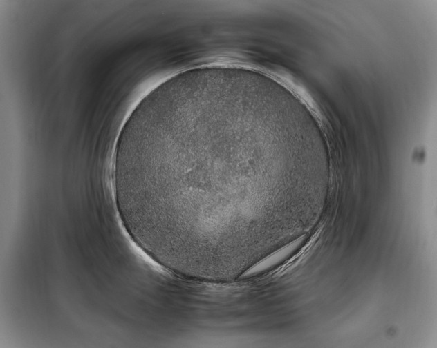 X0000099311247200805021307