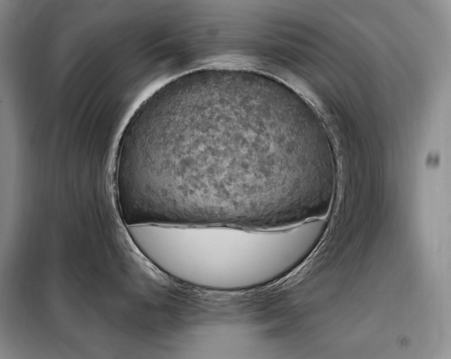 X0000099311248200805021307