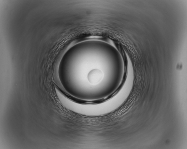 X0000099311249200805021306