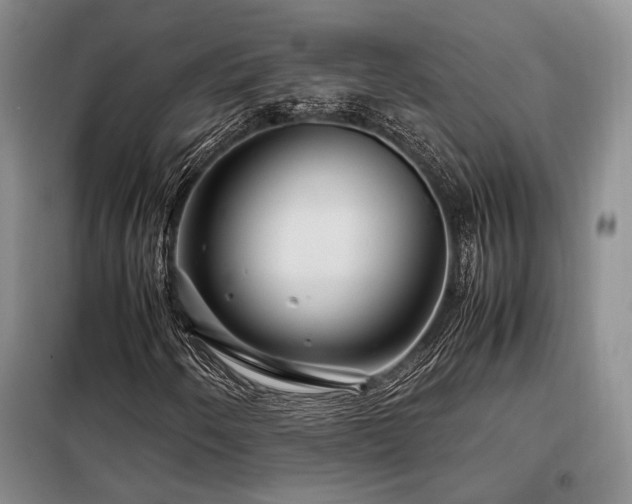 X0000099311250200805021306