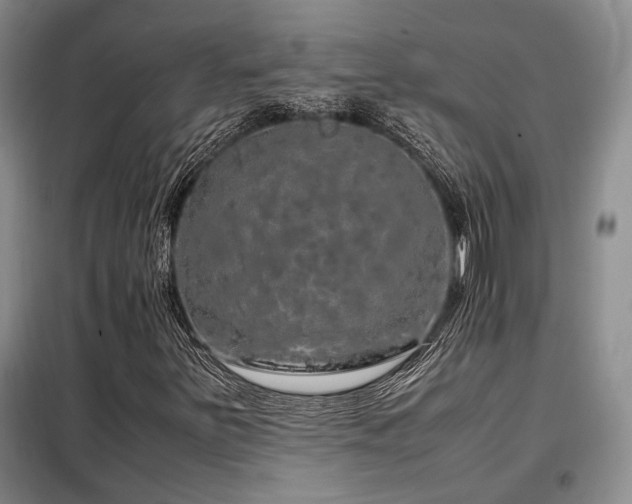 X0000099311251200805021306