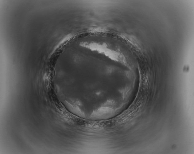 X0000099311254200805021306