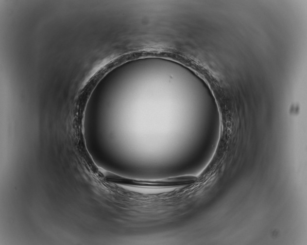 X0000099311256200805021306