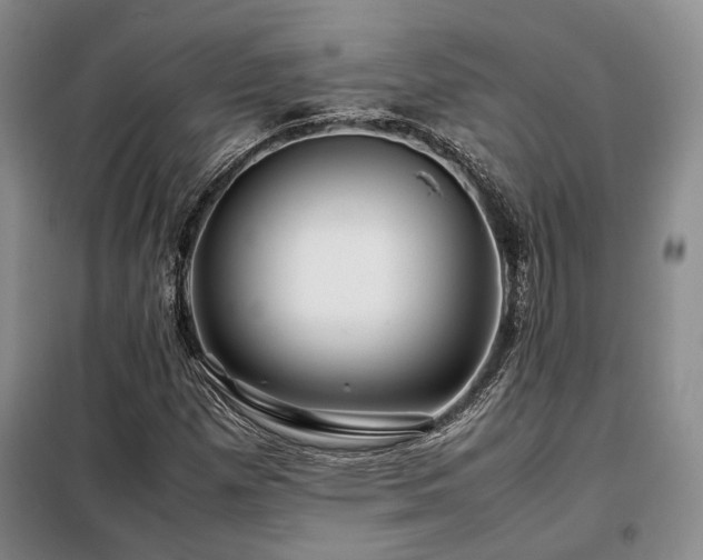 X0000099311257200805021306