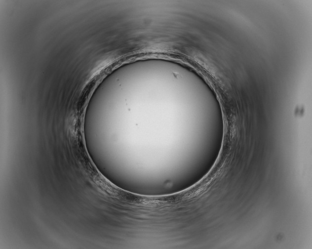 X0000099311258200805021306