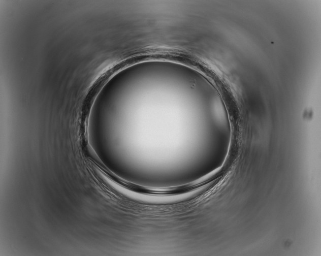 X0000099311259200805021306