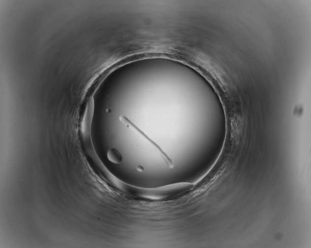 X0000099311260200805021306