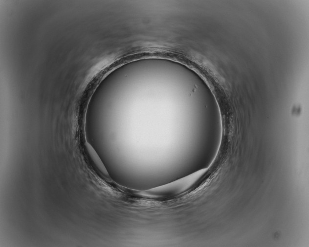 X0000099311261200805021306