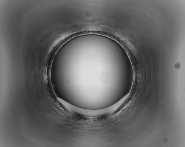 X0000099311262200805021306