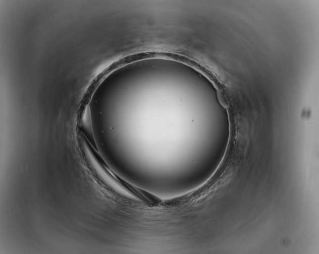 X0000099311264200805021306