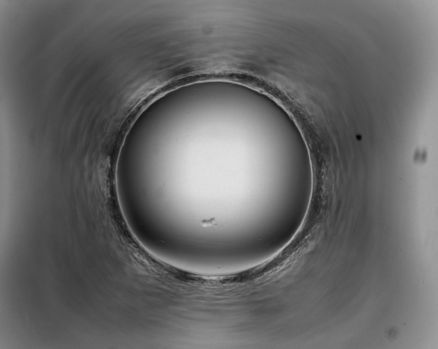 X0000099311265200805021306