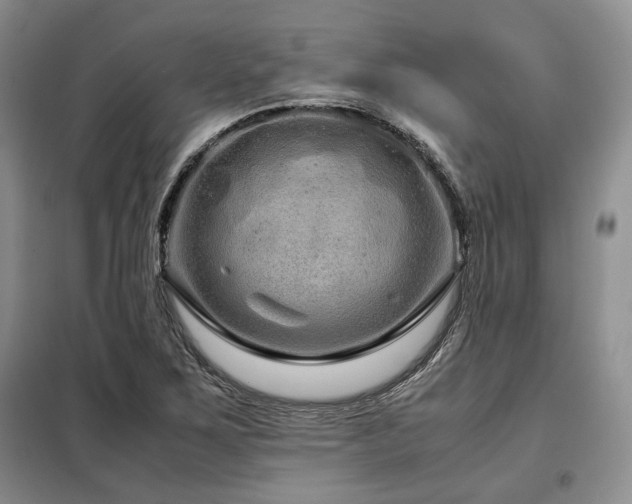 X0000099311267200805021306