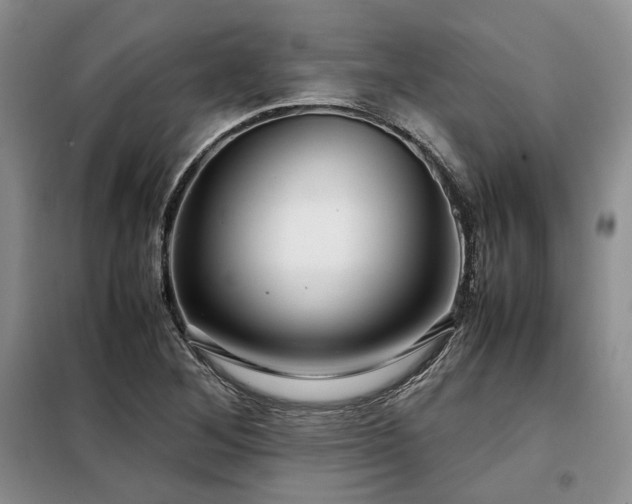 X0000099311268200805021306