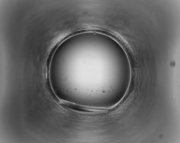 X0000099311269200805021306