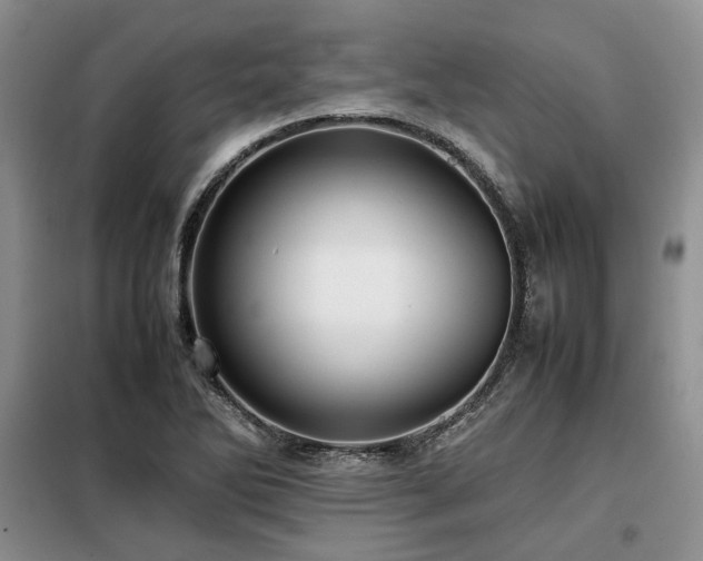 X0000099311270200805021306