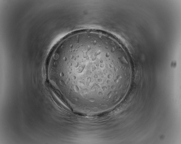 X0000099311271200805021306