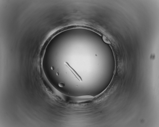X0000099311272200805021306