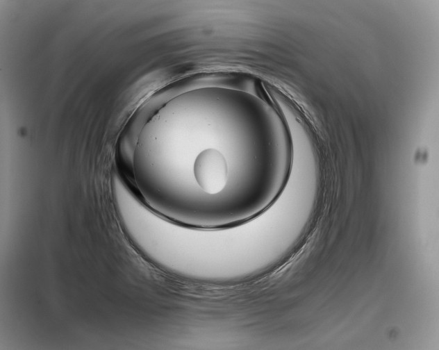 X0000099311273200805021305