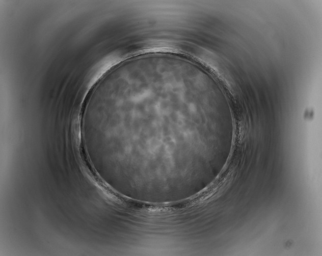 X0000099311274200805021305