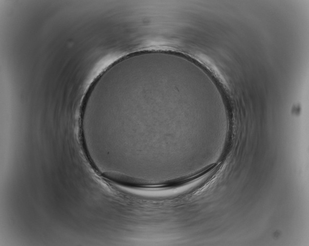 X0000099311277200805021305