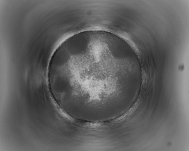 X0000099311278200805021305