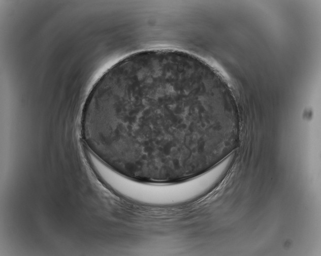 X0000099311279200805021305