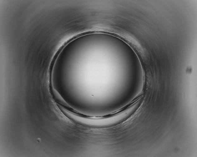 X0000099311280200805021305